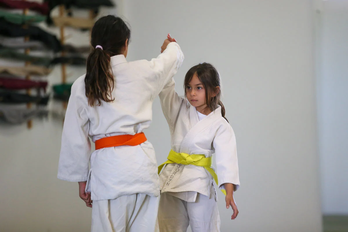 kids practicing aikido