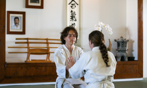 aikido connection