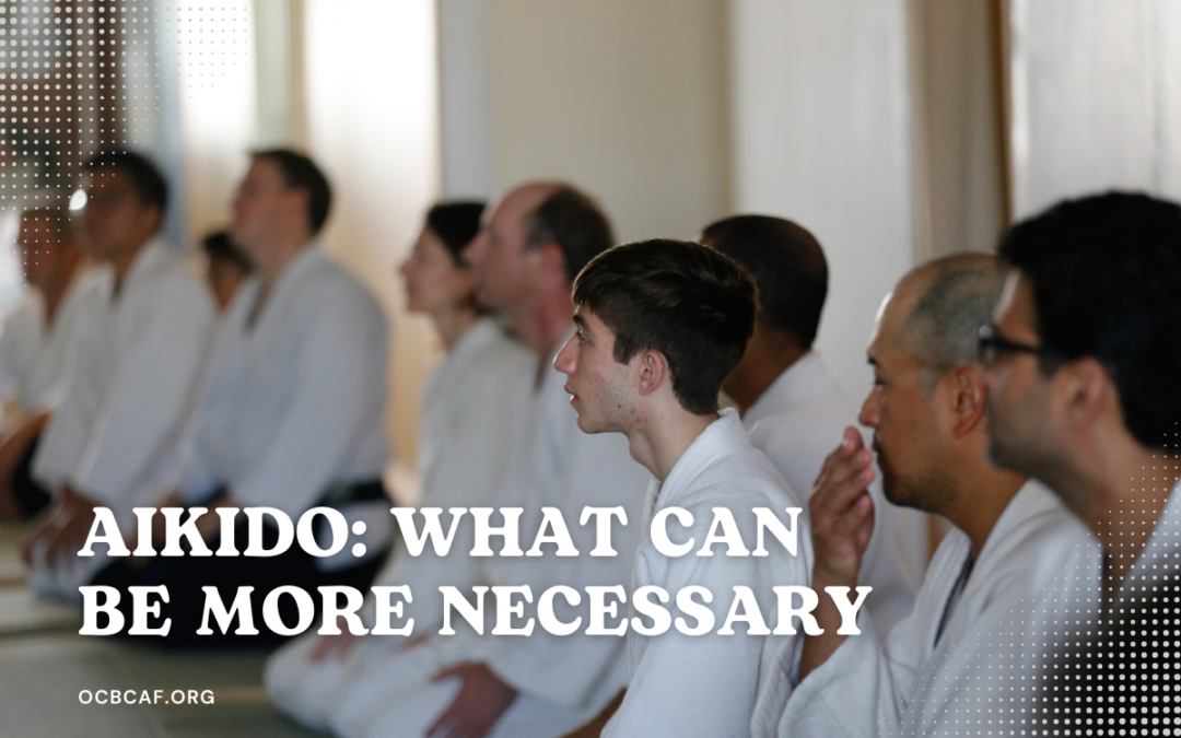 Aikido: What could be more necessary