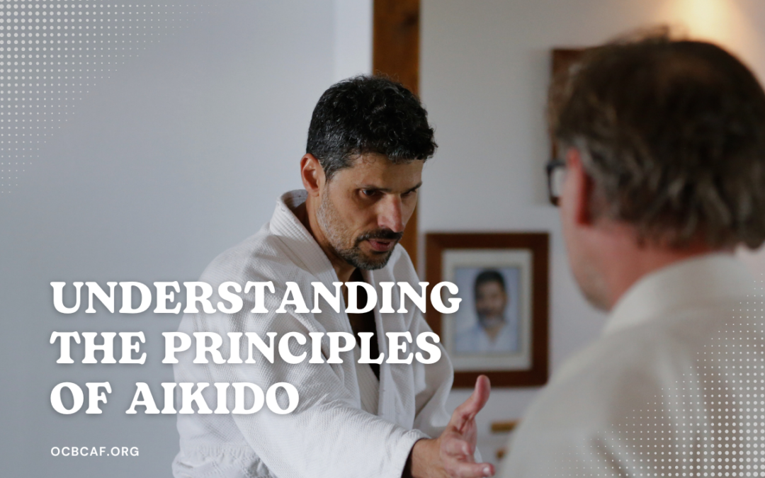 aikido principles
