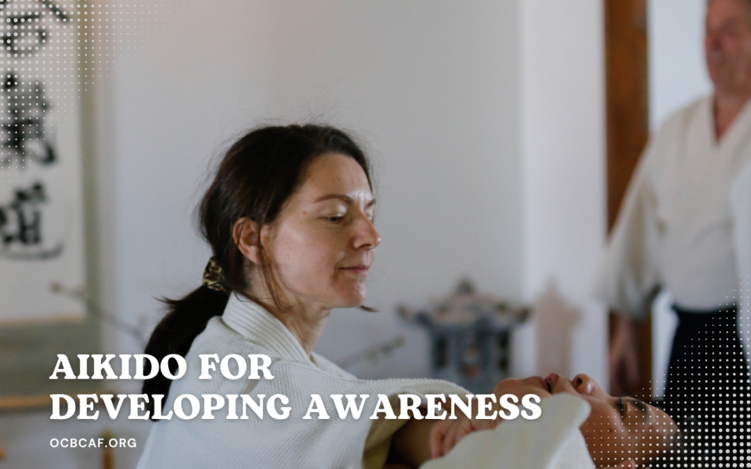 Developing Awareness through Aikido